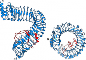 Membrane signaling – Structural Plant Biology Laboratory